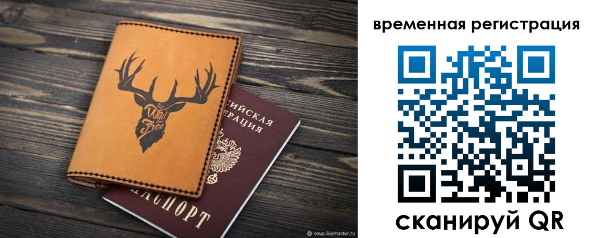 прописка в Дальнегорске